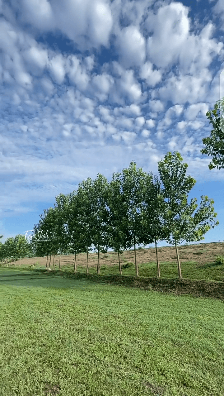 Pure healthy atmosphere in the village